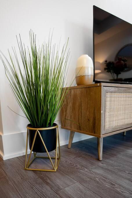 Chic 1-Br Condo; Parking Included; Downtown Core Toronto Dış mekan fotoğraf